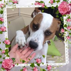 Meet your Posher, Dianna